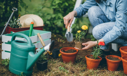 Proud Gardener - For Moving and Packing