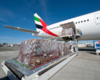 Bird's Moving & Storage International Moving - Airplane Moving